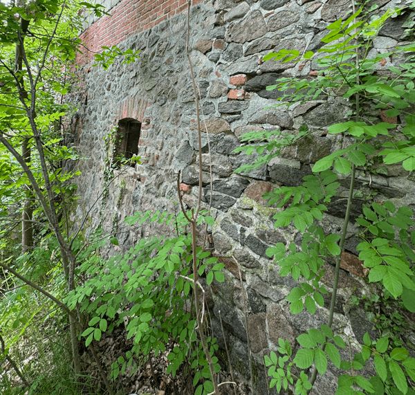 oestliche wand palas